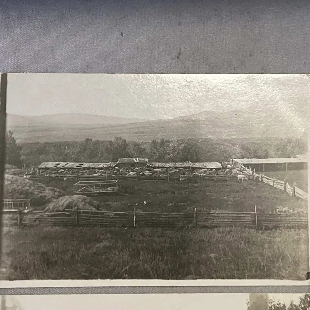 C1910 RPPC 6 Settlers Pioneers Farms Homesteads